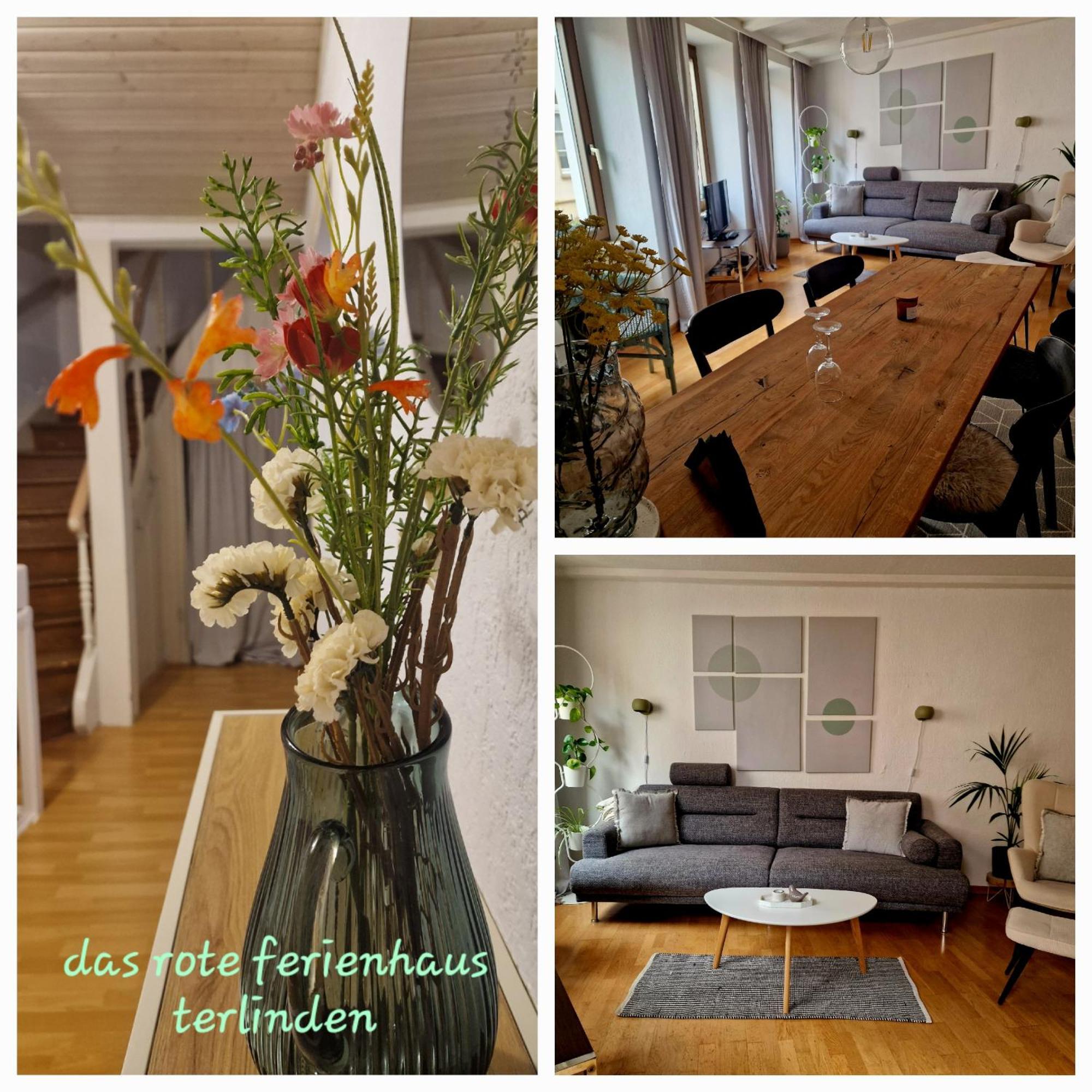Das Rote Ferienhaus Terlinden リーザー エクステリア 写真